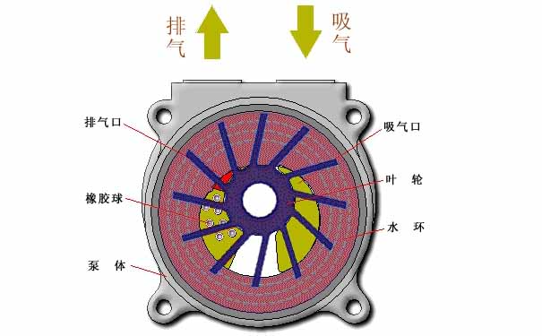 水環真空泵的工作原理是什么_水環真空泵的工作原理圖