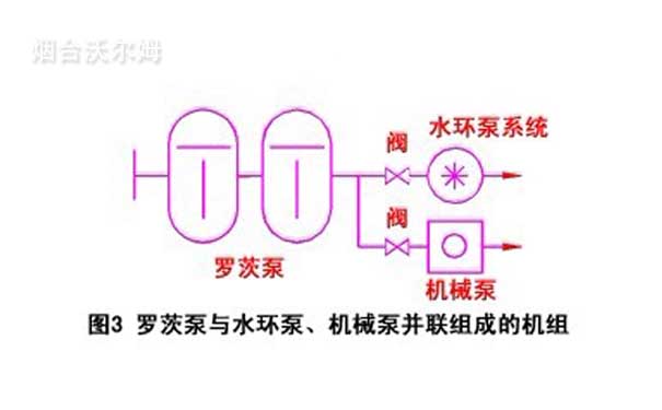 羅茨泵與水環泵、機械泵并聯組成的機組